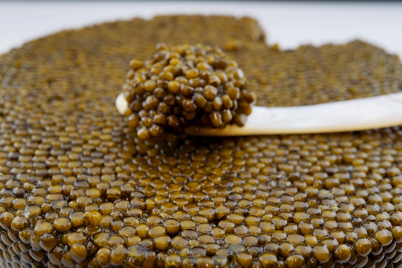 Kit de dégustation de caviar 6x30g et 4 cuillères en nacre